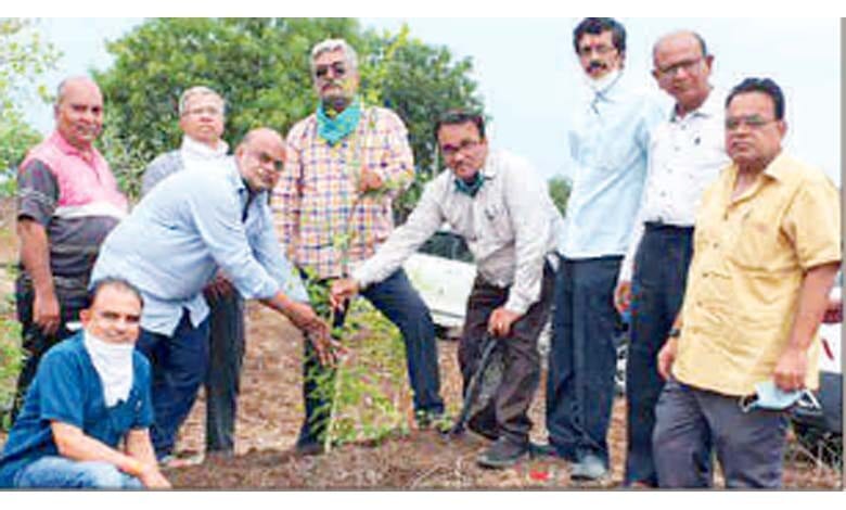 Plantation-amravati-mandal