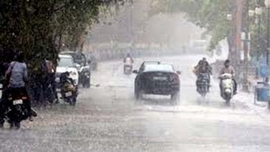 Rain-amravati-mandal