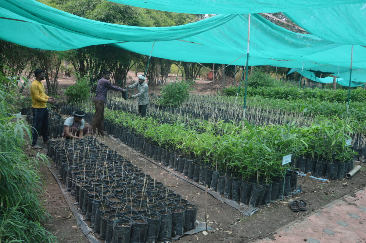 photo-caption-amravati-mandal