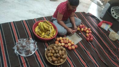 Fal-Anda-Amravati-Mandal