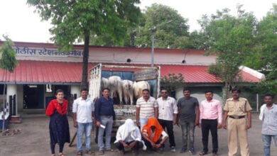Gauvansh-Amravati-Mandal
