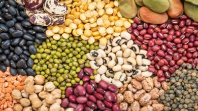Seeds-Amravati-Mandal