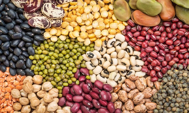 Seeds-Amravati-Mandal