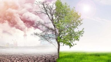 air-pollurion-amravati-mandal