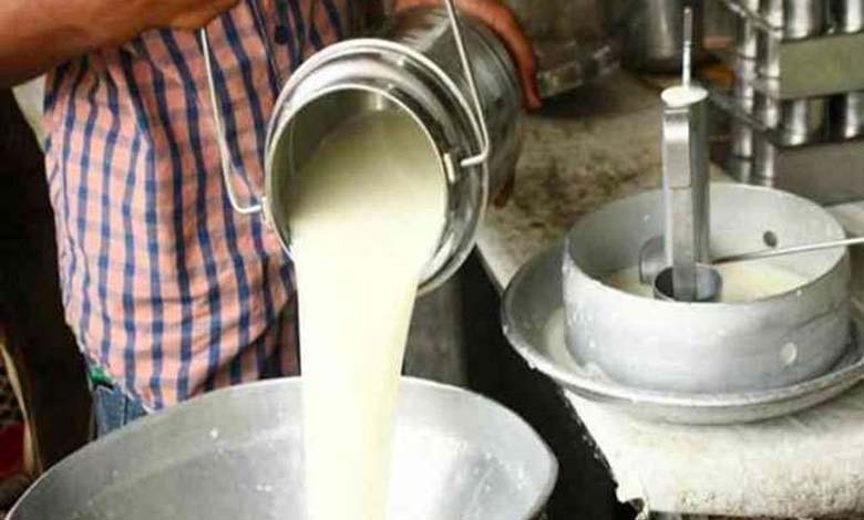 milk-dairy-amravati-mandal