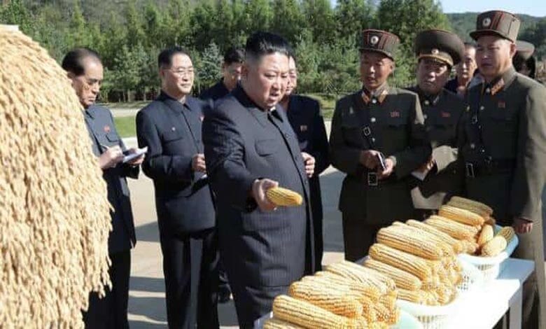 north-korea-amravati-mandal