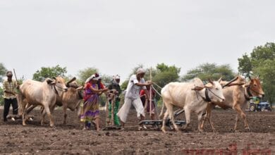photo-capiton-amravati-mandal