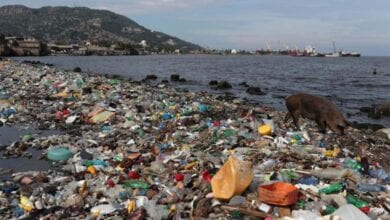 plastic-pollution-amravati-mandal