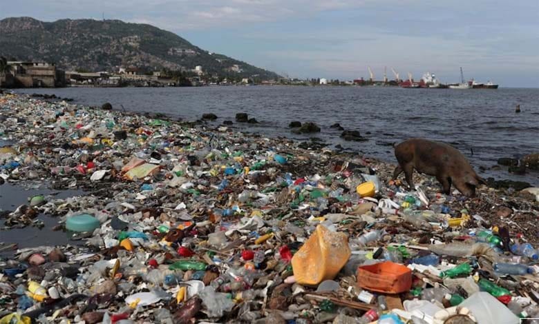 plastic-pollution-amravati-mandal