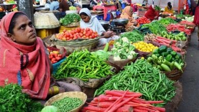 sabji-market-amravati-mandal