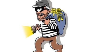 thief-amravati-mandal