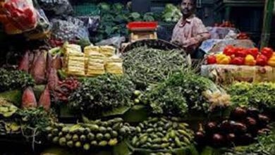 vegtables-amravati-mandal