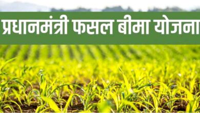 Crop-insurance-amravati-mandal