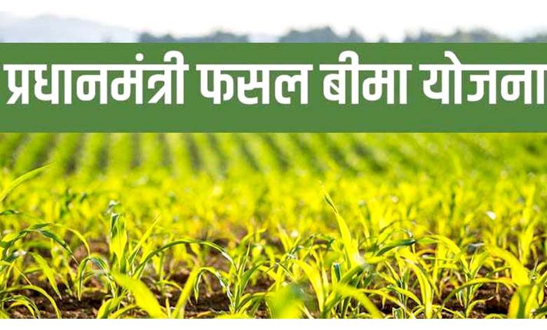 Crop-insurance-amravati-mandal