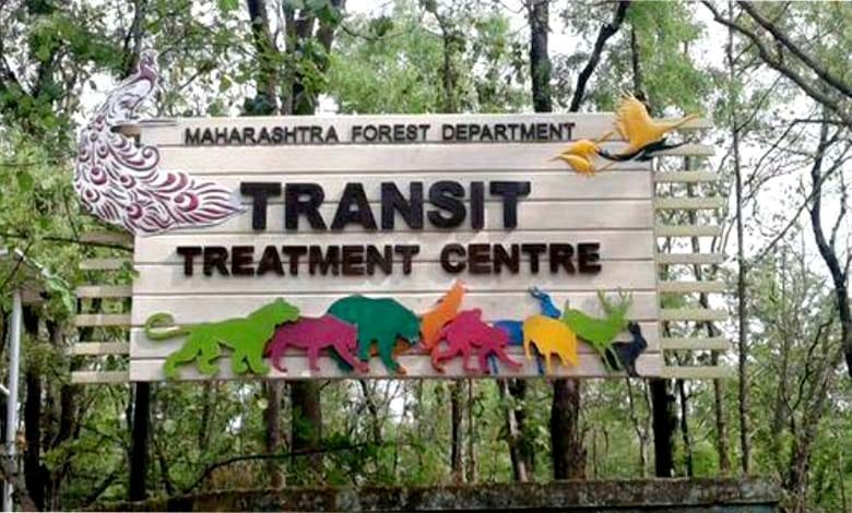 Transit-Treatment-Center-amravati-mandal