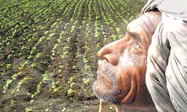 Farmer-amravati-mandal