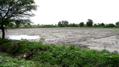 Damage-to-Crop-amravati-mandal