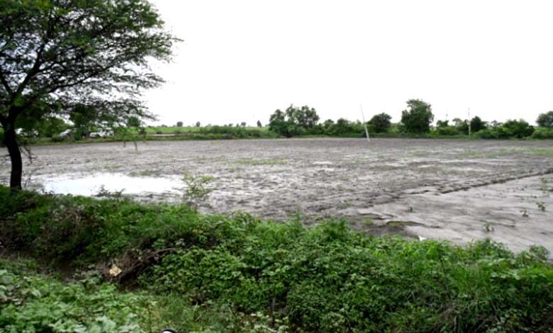 Damage-to-Crop-amravati-mandal