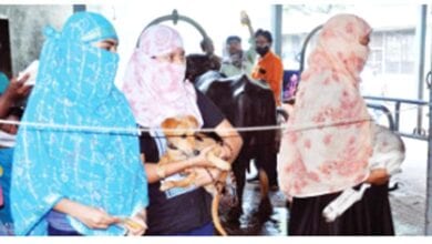 dog-breeders-amravati-mandal