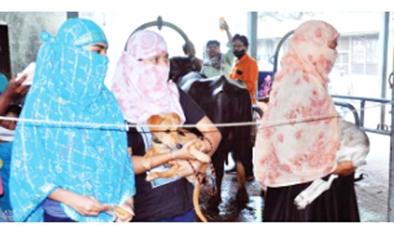 dog-breeders-amravati-mandal