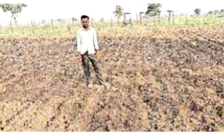 Farmer-amravati-mandal