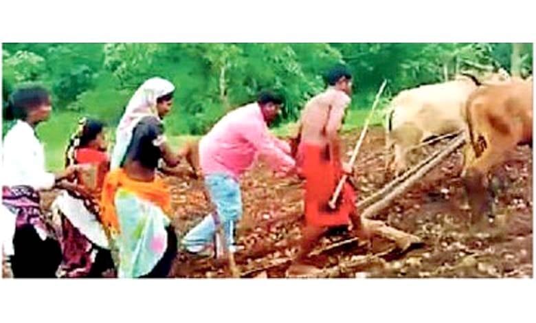 Tribal-Farmer-amravati-mandal