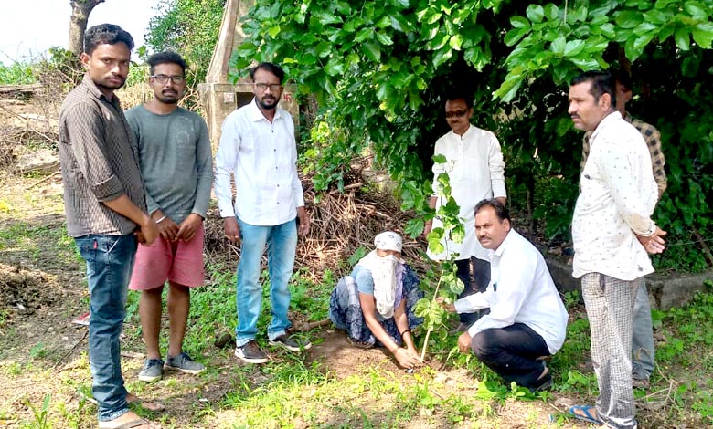 tree-planting-amravati-mandal