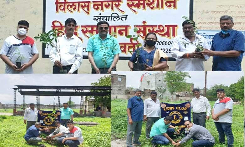 Tree-Planting-amravati-mandal