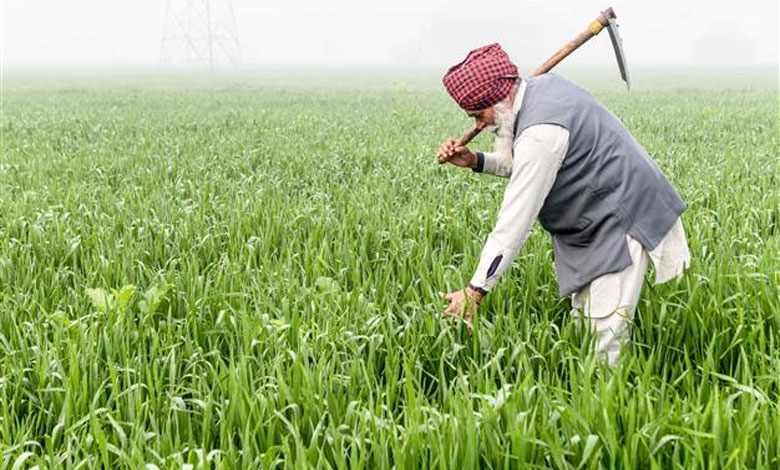 Farmer-amravati-mandal