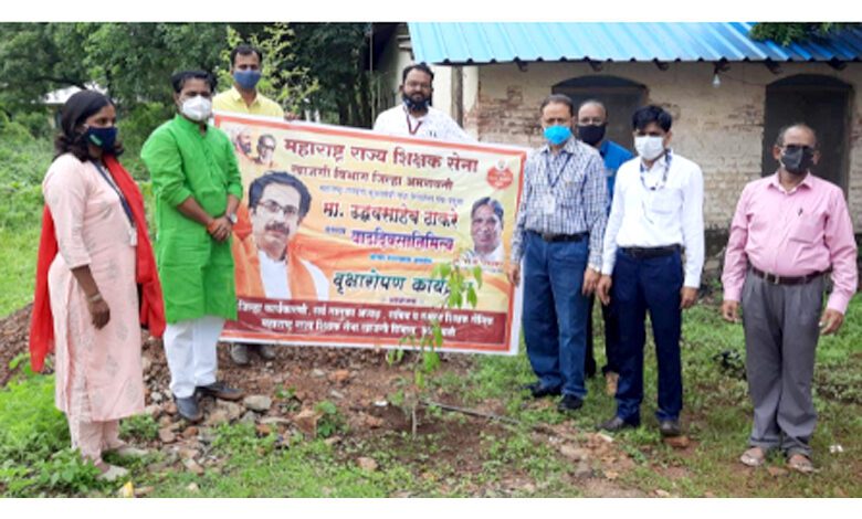 Tree-Planting-amravati-mandal