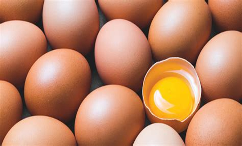 Egg-Amravati-Mandal