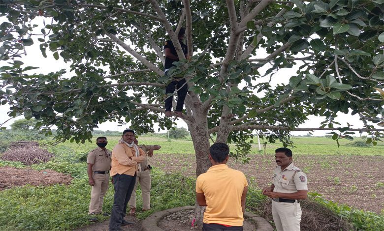Suicide-Amravati-Mandal