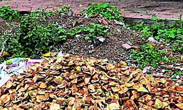 dengue-amravati-mandal