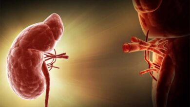 kidney-implant-amravati-mandal