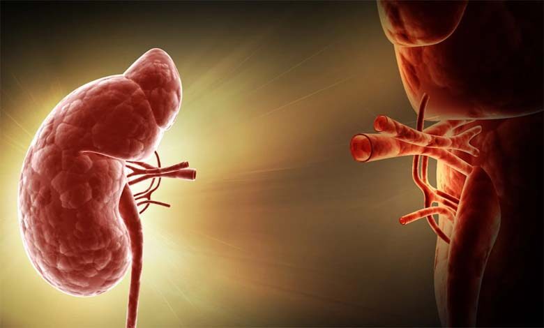 kidney-implant-amravati-mandal
