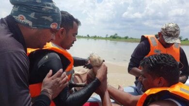 rescue-amravati-mandal