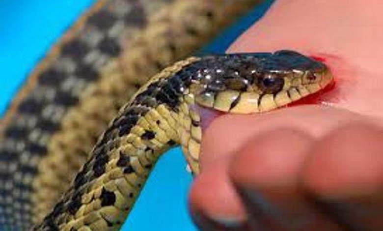 snake-amravati-mandal