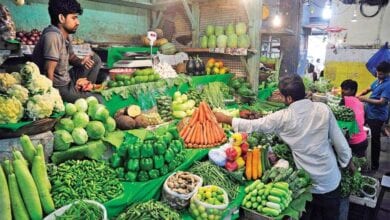 vegetables-amravati-mandal