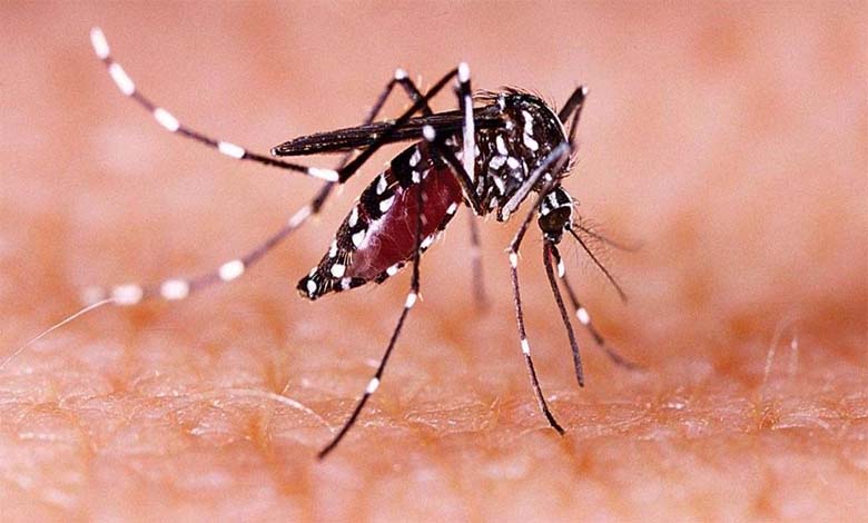 zika-virus-amravati-mandal