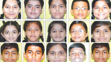 Indo-Public-School-amravati-mandal