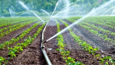 Irrigation-amravati-mandal