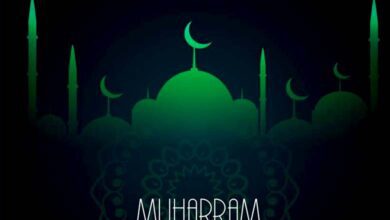 Muharram-amravati-mandal