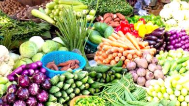 Vegetables-amravati-mandal