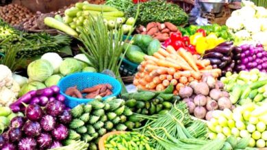 Vegetables-amravati-mandal
