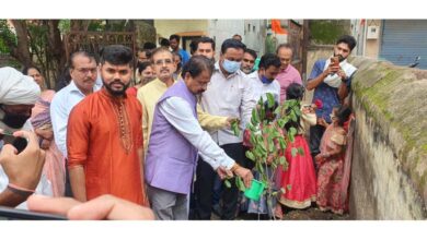 Plant-Planting-amravati-mandal