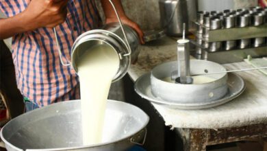 Milk-Amravati-Mandal