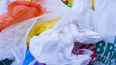 Plastic-Bag-Amravati-Mandal