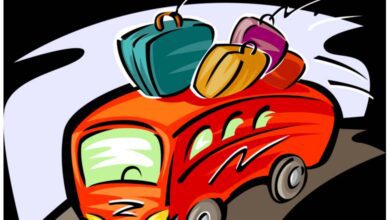 Travel bus-amravati-mandal