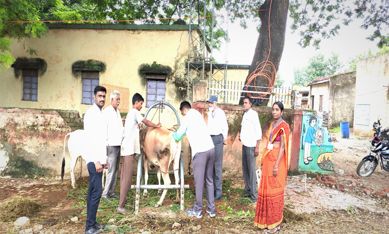 Vaccination-Amravati-Mandal