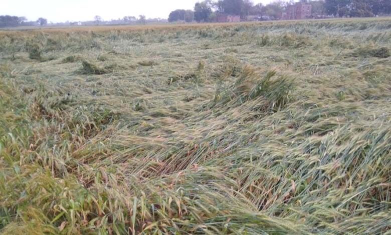 farm-amravati-mandal
